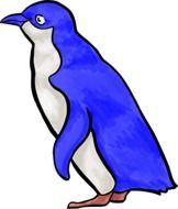 Blue Penguin, illustration