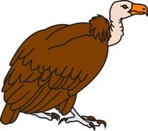 painted brown vulture