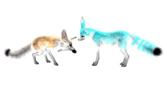 drawing of foxes of different colors on a white background