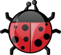 Ladybird drawing