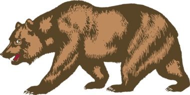 drawing of a dangerous wild bear