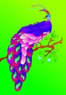 sketch of a bird of paradise on a tree branch