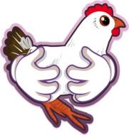 drawing white chicken in the hands