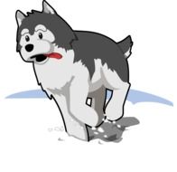 Husky Dog drawing