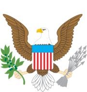 American emblem with eagle