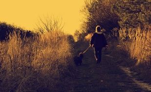 the owner and the dog are walking along a country road on the background of a golden sunset