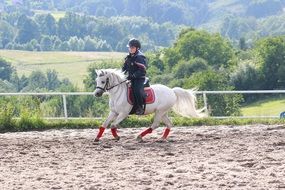 young boy riding a horse