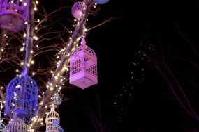 Qingdao Provence at night