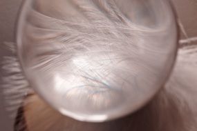 glass ball near the bird feathers