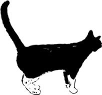 drawing of a black and white cat