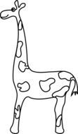 Picture of giraffe