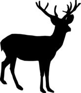 black silhouette of male Deer