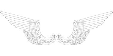 Drawing of white Angel wings