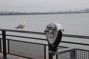 the seagull is sitting on the fence of the observation deck