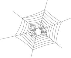 spider on cobweb, drawing