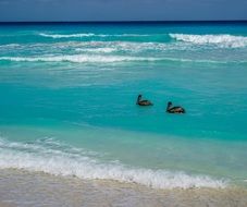 beautiful Cancun Mexico Beach