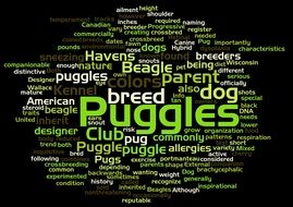Puggles Word drawing