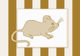 brown mouse on a white background