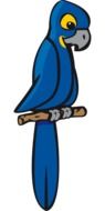 Blue macaw parrot clipart