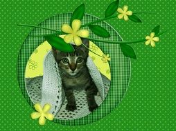 card with a kitten