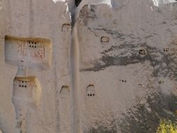 bird nesting sites