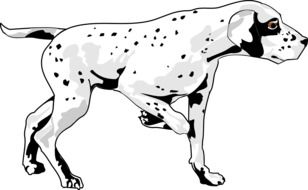 Walking hunting Dog, illustration