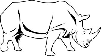 Rhino, Africa as a drawing