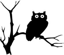 painted owl on a tree branch