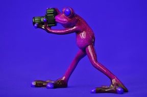 purple ceramic frog with camera on the violet background