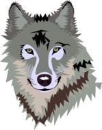 Wolf Grey drawing