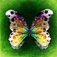 abstract butterfly on the green background