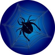 drawing of a blue spider on the web