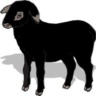 painted black sheep