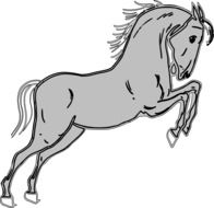 Grey horse clipart