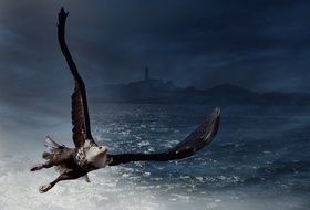 Adler on water clipart
