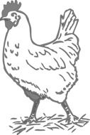 grey silhouette of the cock