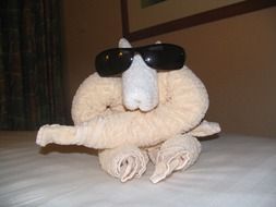 towel animal in sunglasses