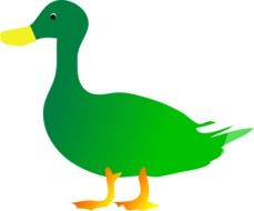 Green Bird Duck Animal Beak