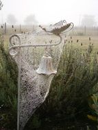 Wide Web at the scenery in the garden