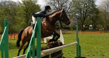 jumping an obstacle on a horse