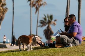 man and woman with dog on lawn at sea coast, italy, Prato