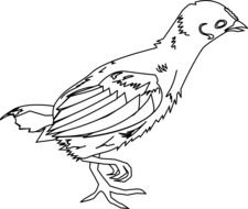 black and white graphic image of a little chick