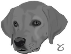 clipart of grey Dog Head