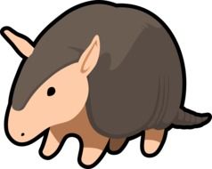painted armadillo