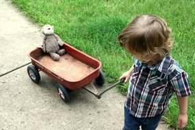 boy rolls his stuffed monkey