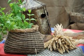 knight armor and wheat on the table