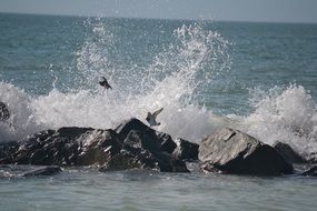 waves on coastal cliffs