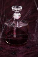 spiders on the bottle