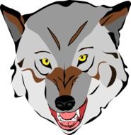 Colorful drawing of the angry wolf at white background
