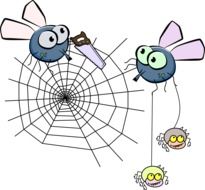 cartoon Flies and Spiders on cobweb